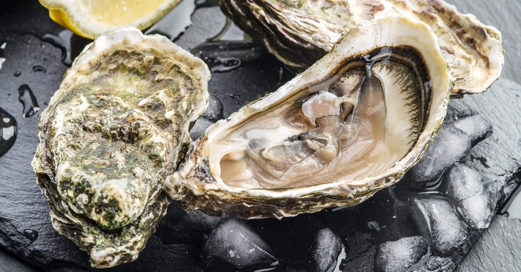 Bordeaux oysters discovery