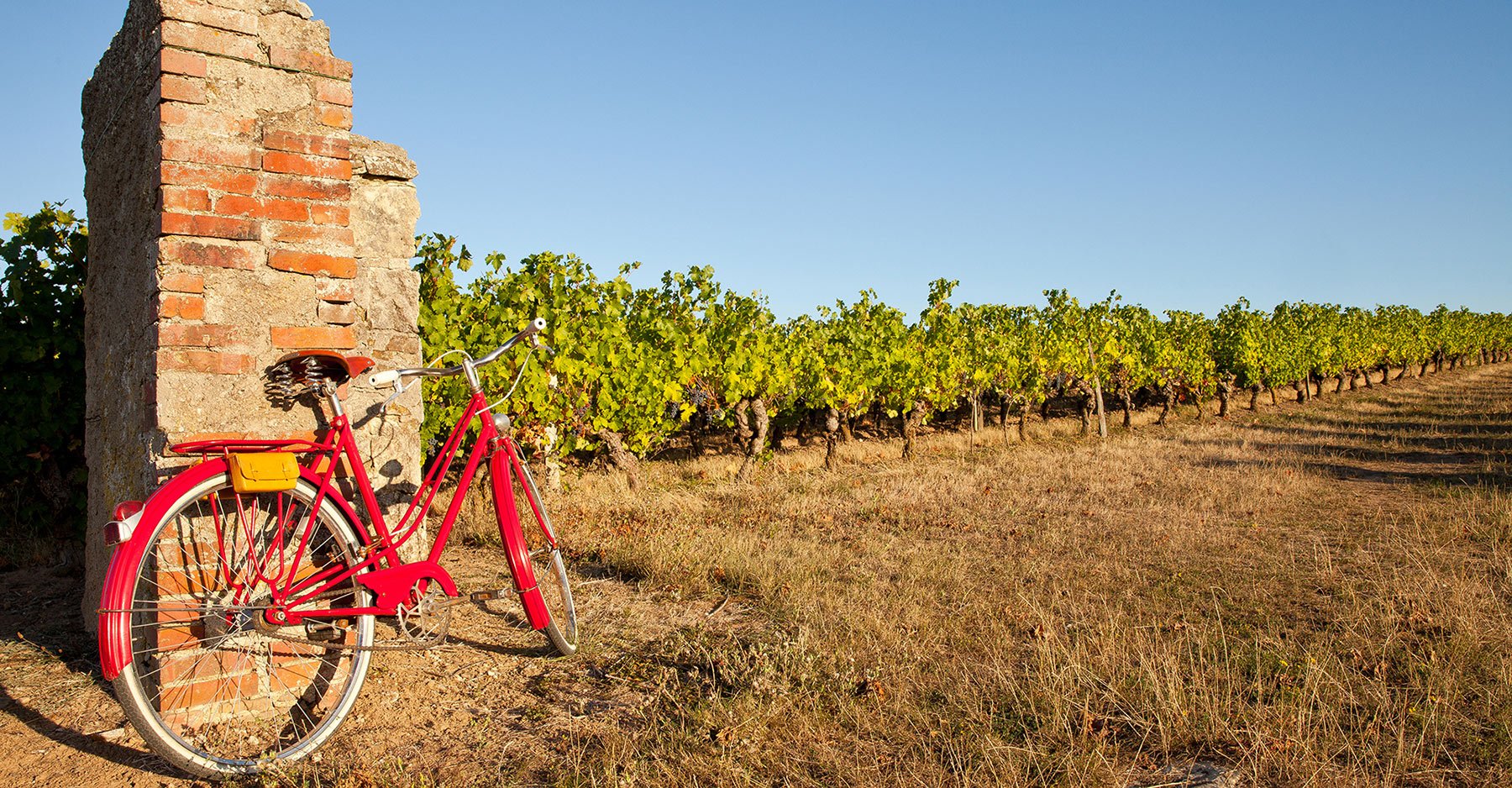 Biking in Burgundy