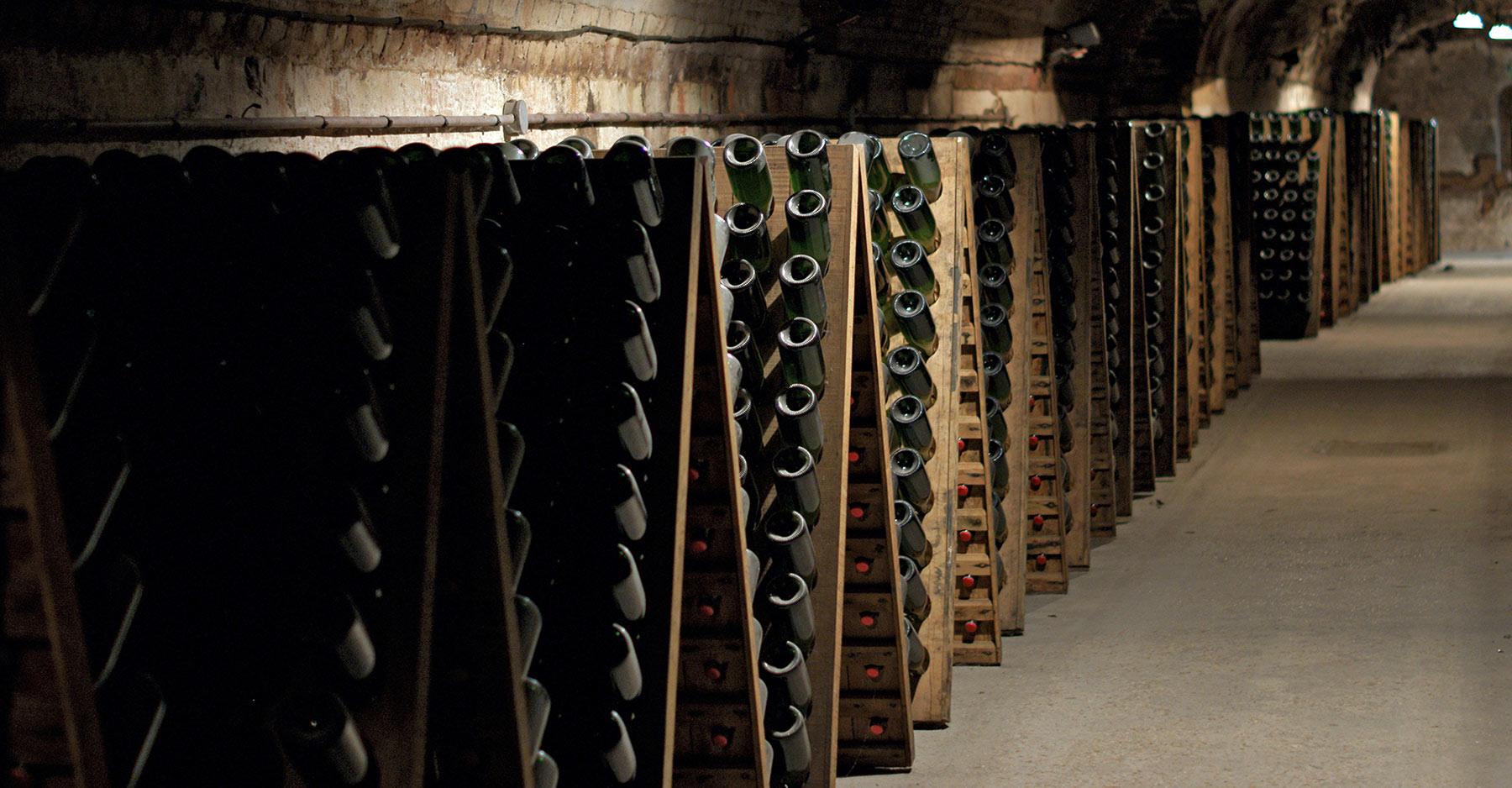 wine and cellars in champagne