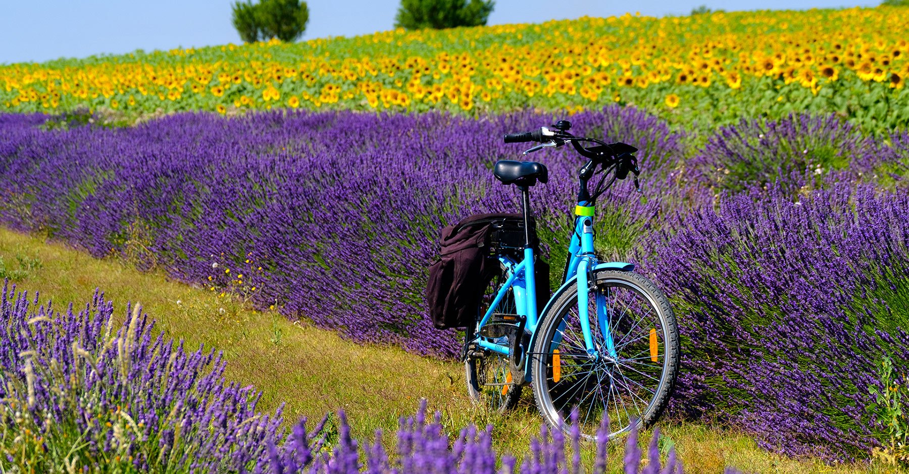 bike in provence